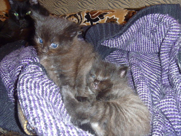 Маргарита Устина