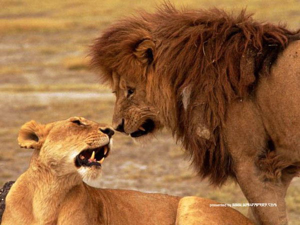 Виктор Кудряшов