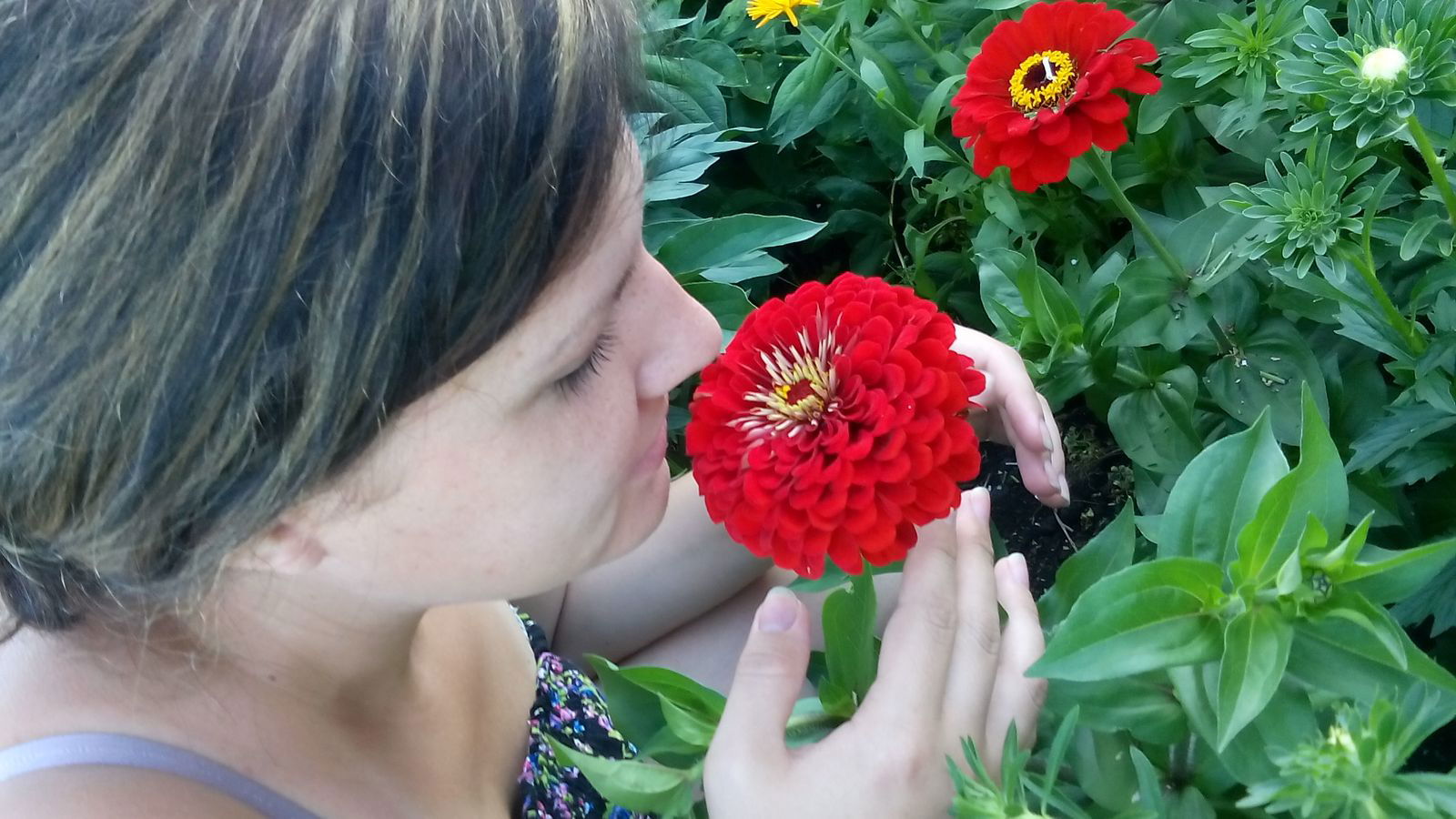 Наталья Данилова