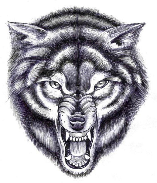 Андрей Игнатов