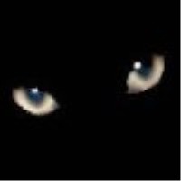 Лариса Сурина