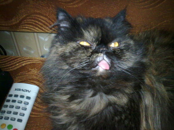 Татьяна/ Василий ***