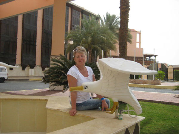 Елена Кокарева