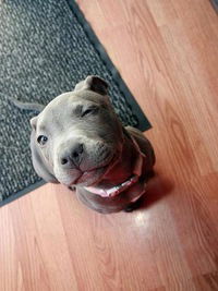 Саня Біганський