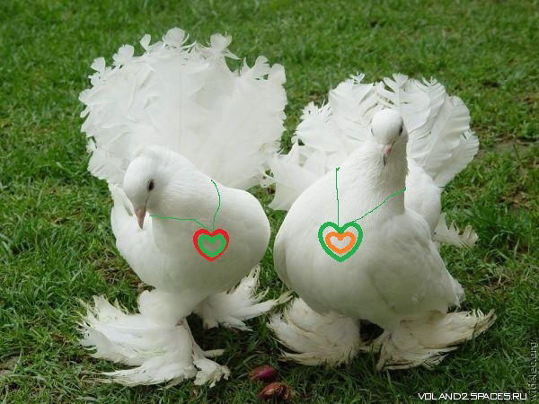 ¤Капризная Личность¤