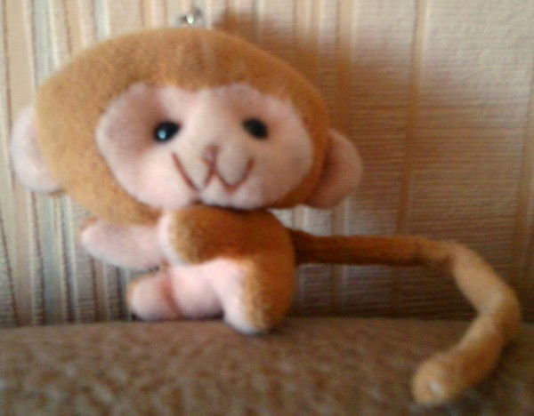 Мария Цыплякова