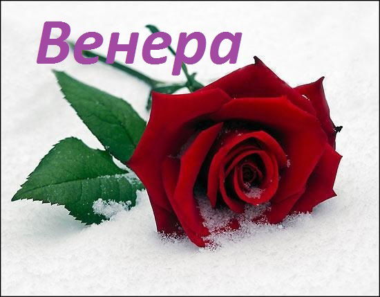 Венера Деева