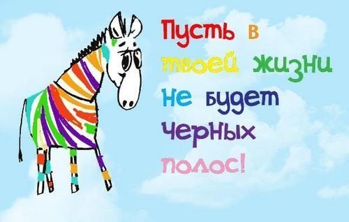 Максим Шеховцов