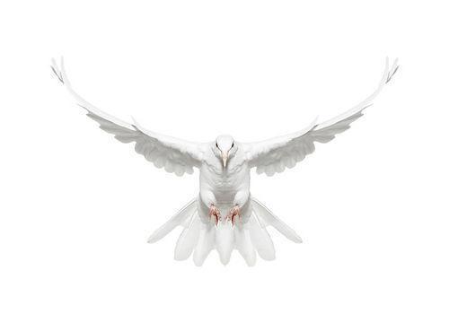 Сергей Иванов