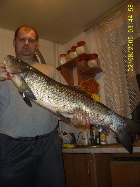 Сергей Довгаль