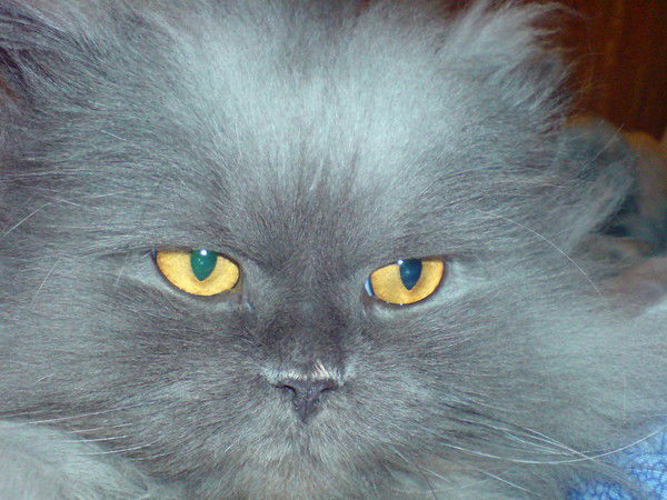 Екатерина ~~~