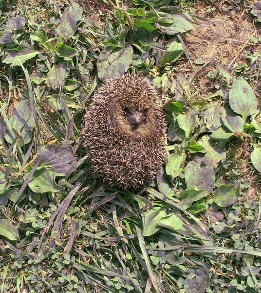 Наталья Зенина