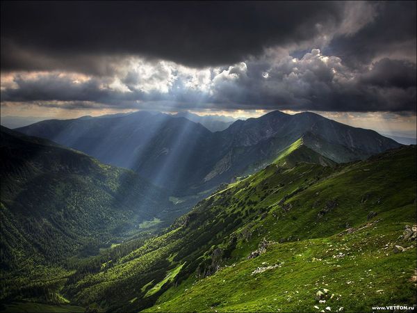 Михаил Кабанов