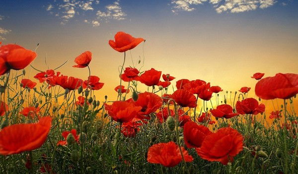 Татьяна Косогина