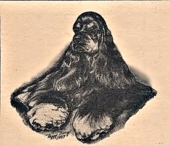 Анна Твердоступ