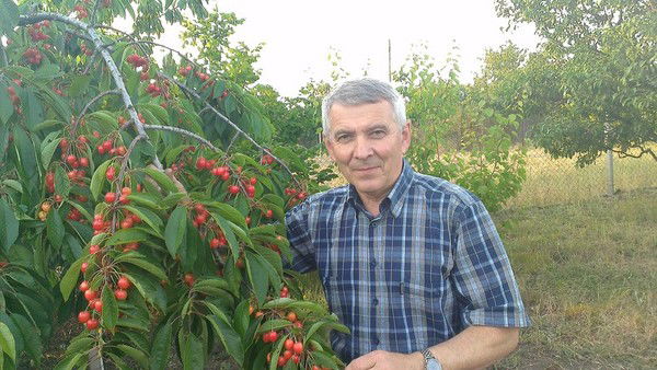 Владимир Царенко