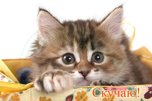 Анна Иванова