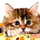 Анна Иванова
