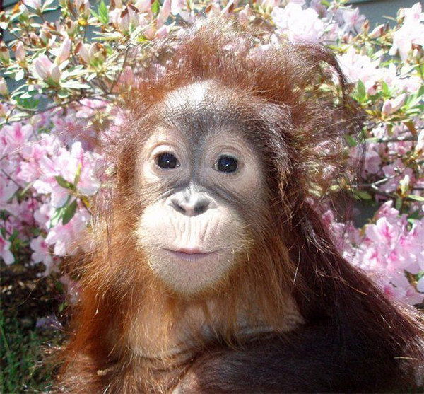 Андрей Болох