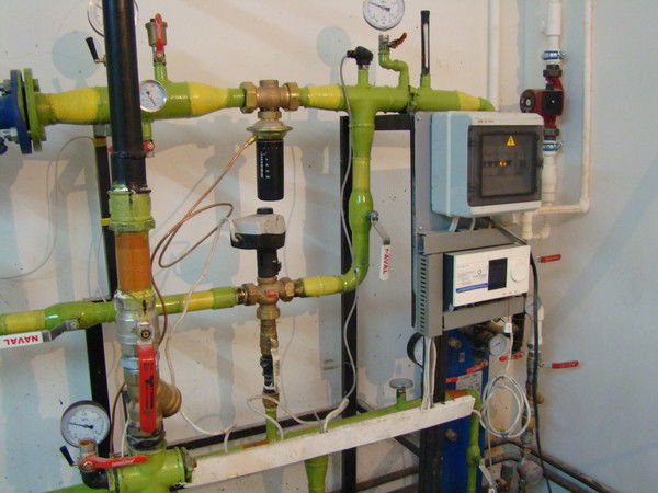 Елена Ковалёва