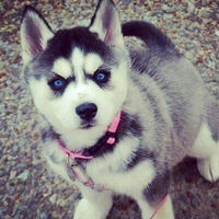 Мария Аксёнова