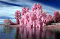 Алена Агафонова