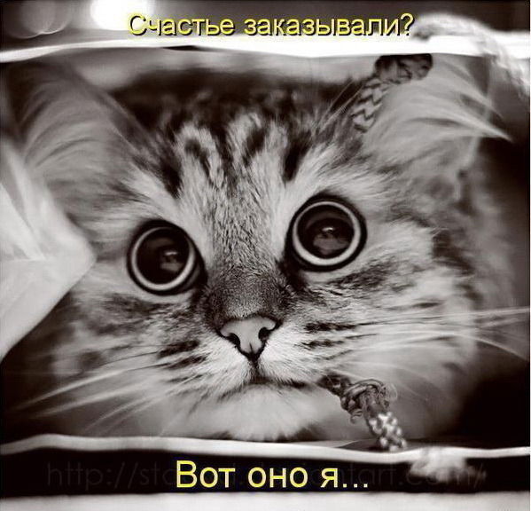 Светлана Кузнецова