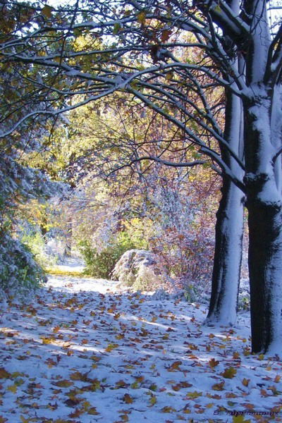 Сергей Беляков