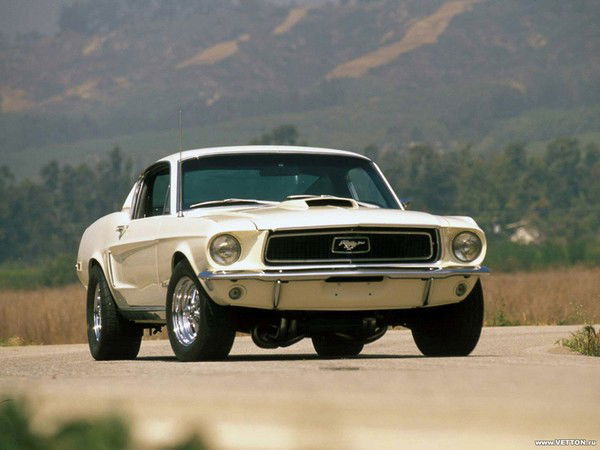 Андрей Кащиц