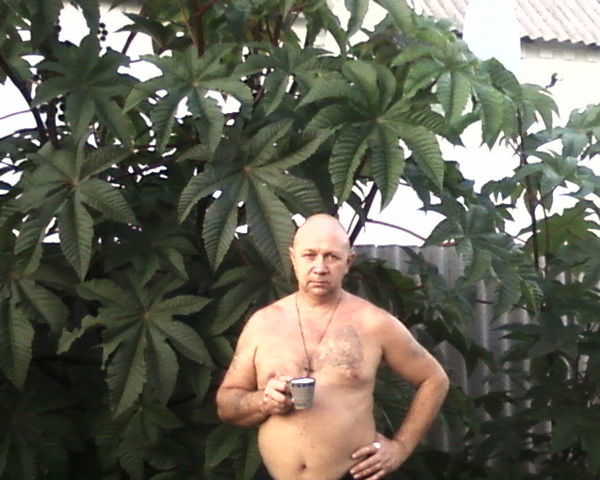 Вадим Майба