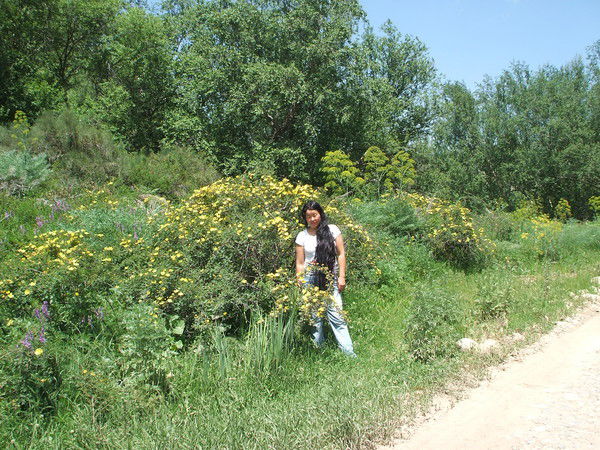 Женис Бекаслы