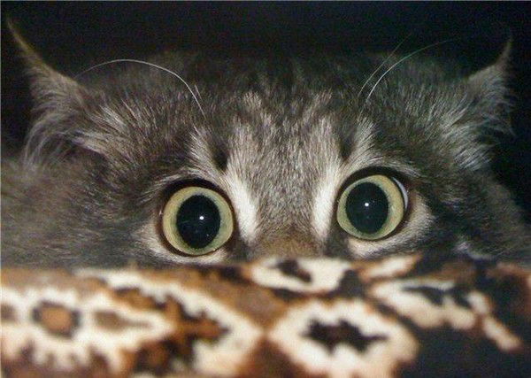 Людмила Попова