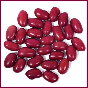 Анастасия Фасолькина