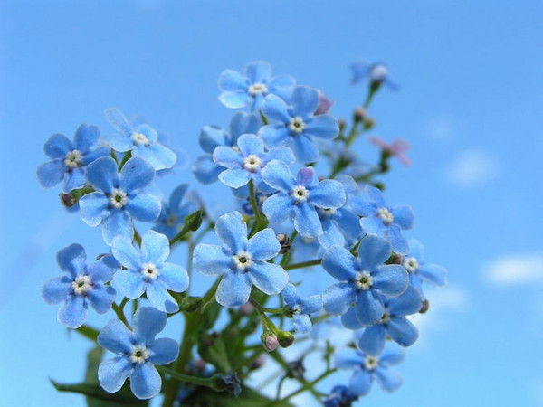 Галина Потёмкина