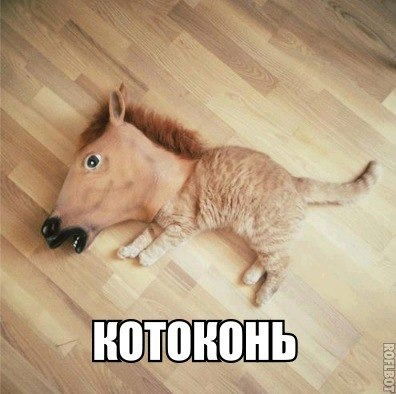 Данил Нагаев