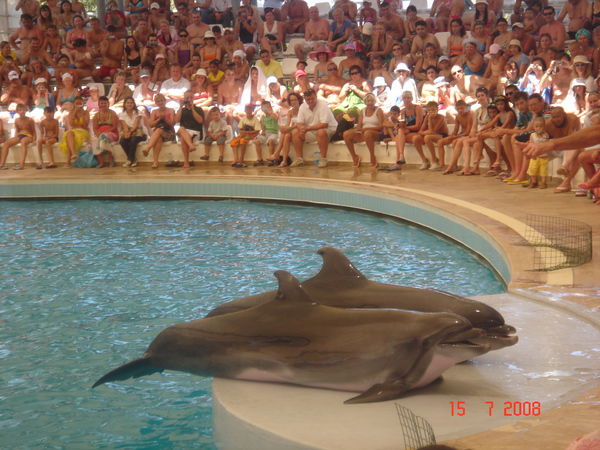 Наталья Лукашевская