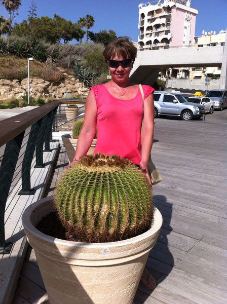 Лариса Суркова