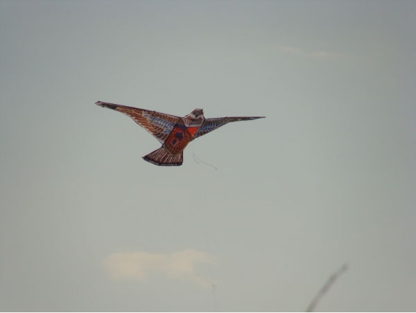 Айгуль Абуова