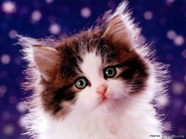 Марина Кравчук