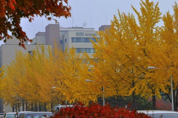 Айжан Мукатаева