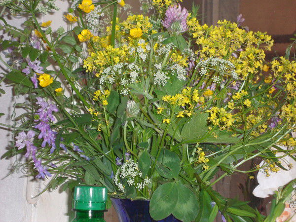 Рая Режепова