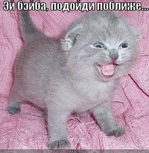 Наталья Вахтина