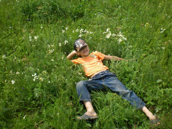 Дэн Чесноков