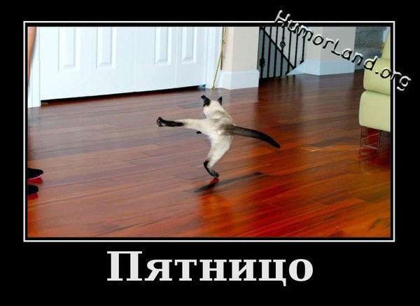 Дима Костяк