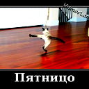 Дима Костяк