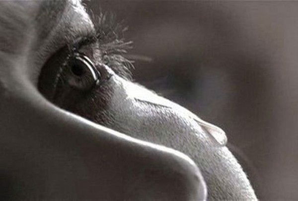 Машенька Закирова