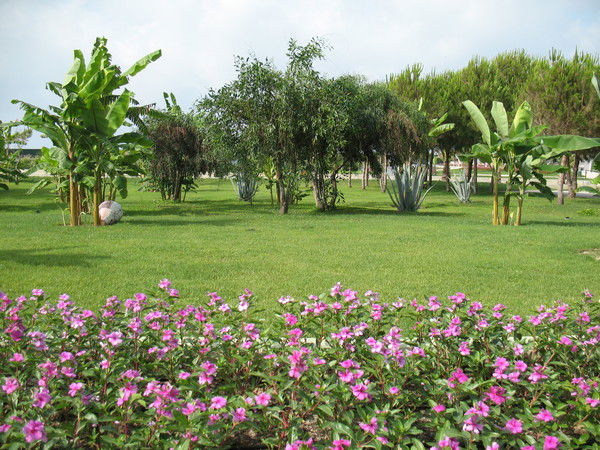 Елена Зубкова