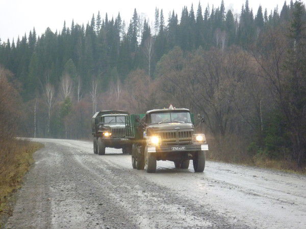 Мо Досааф России Г. Таштагол