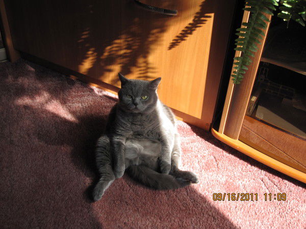 Александр Бубличенко