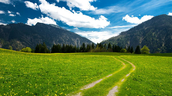 Екатерина М